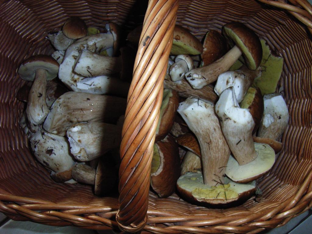 Raon-aux-Bois Au Palton B&B 외부 사진